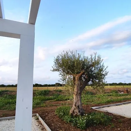 Le Zagare Di Vendicari Séjour à la ferme Lido di Noto
