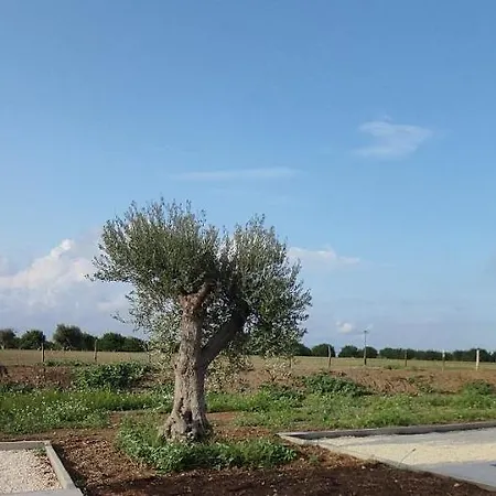 Le Zagare Di Vendicari *